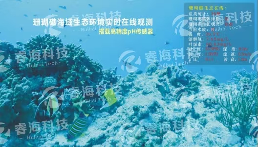 微信圖片_20250225165056 微信圖片_20250225165056